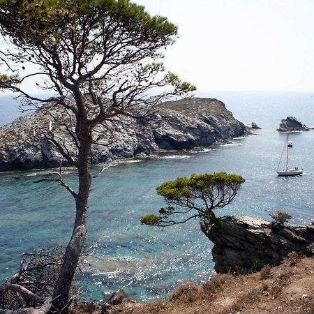 T2 Vue Mer 50M De La Plage A Giens Hyeres Ngoại thất bức ảnh