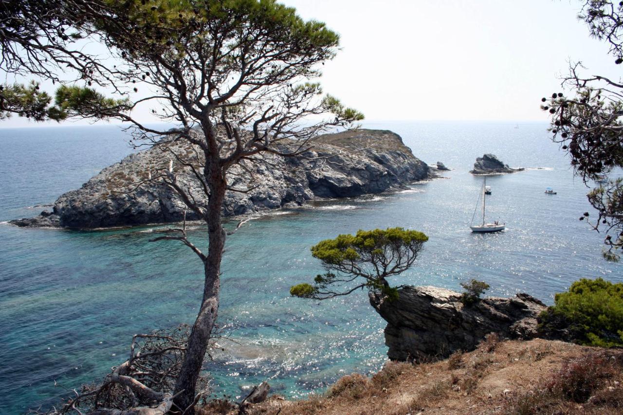 T2 Vue Mer 50M De La Plage A Giens Hyeres Ngoại thất bức ảnh